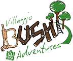 Logo Villaggio Bushi Adventures